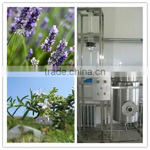 30L High Quality Plants Essential Oil Distill Machine on Sale (EC) thumbnail-1