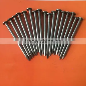 Wholesale Price Common Wire Nails Round Head Nails thumbnail-1