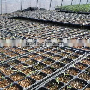 Newest Top Quality Hydroponic Rice Seedling Tray thumbnail-2