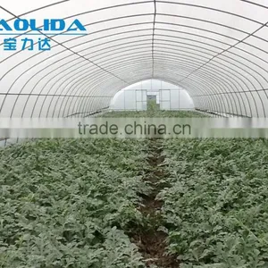 Polytunnel Garden Greenhouse Pollytunnel thumbnail-1