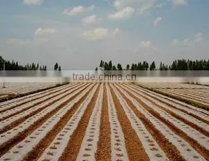 Transparent High Quality Low Price Agricultural Mulch Film With Holes thumbnail-1