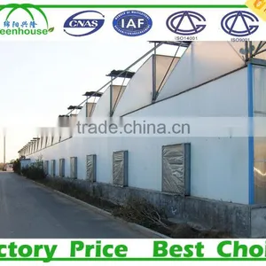 Commercial Greenhouses for Sale thumbnail-1