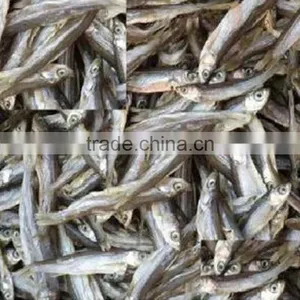 Dry Dog Food Dry Fish Wholesale Dog Food thumbnail-1