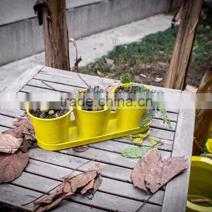Metal Planters Set Metal Flower Pot Set With Tray for Home Decor thumbnail-3