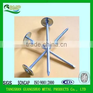 Hot Sale Galvanized Umbrella Roofing Nail 2.5" China Supplier Umbrella Head Roofing Nails thumbnail-4
