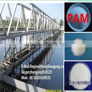 Flocculation Pam and Sedimentation Treatment for Activated Sludge thumbnail-1