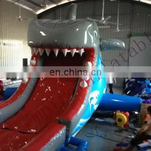 Commercial Inflatables, Big Slide for Sale, Giant Slide for Sale DS077 thumbnail-1