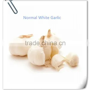 2016 New Crop Fresh Garlic in 10kg Mesh Bag and Carton China Export Garlic thumbnail-1