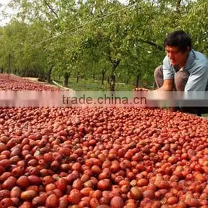 Xinjiang Dried Jujube Fruit and Red Jujube thumbnail-1