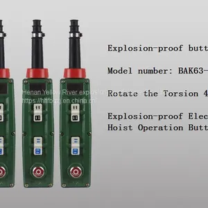 Manufacturers Supply Bak-63 Explosion-proof Button Switch thumbnail-3
