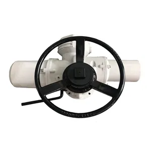 Rottok Multi-rotary Electric Actuator IQ35 Intelligent Valve Electric Device thumbnail-4