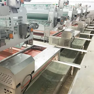 Manure Longitudinal Conveyor Belt thumbnail-1