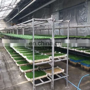 500kg per Day Automatic Hydroponic Fodder Machine for Dairy Livestock/barley Sprout Machine thumbnail-5