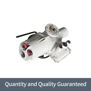 Rotoque Multi Turn Gate Valves Are Split High Temperature Resistant Actuators thumbnail-3