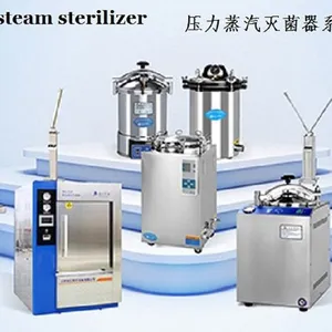Steam Pressure Sterilizer for Medical Laboratory Use thumbnail-4