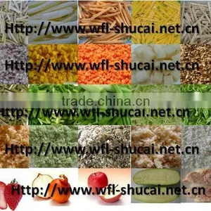 Vegetable And Fruit Mixer/ Vegetable Mixer thumbnail-2