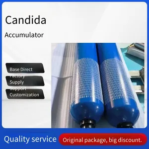 Bladder-type Hydraulic European Standard Accumulator, Available in 80l/6.3l/10l/20l/40l, Accumulator Nitrogen Tank thumbnail-1