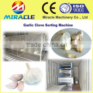 Garlic Processing Sorting Machine With New Design Machine for Sorter Garlic Clove thumbnail-1