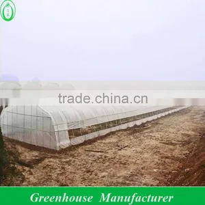 Roll Film Ventilation Plastic Tunnel Greenhouse thumbnail-1