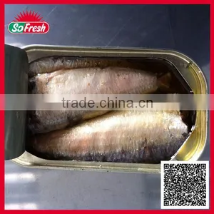 125G Canned Sardine in Oil With Competitive Price thumbnail-1