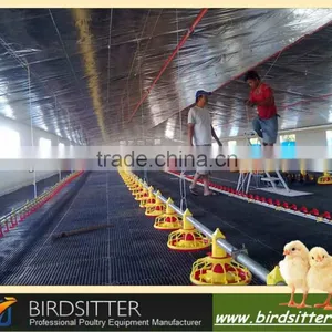 Birdsitter Chicken Farming Automatic Poultry Equipment Suppliers thumbnail-2