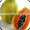 Papaya thumbnail-1