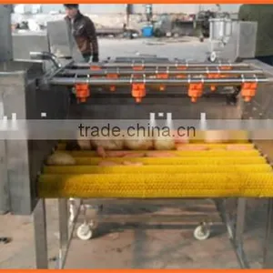 Zhengzhou Thrive Brand Vegetable Carrot Process Machine/potato Washing Machine Quality Choice thumbnail-5