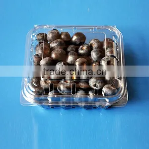 Fruit Packaging Container Food Storage Box Blueberry Packaging Punnet thumbnail-2