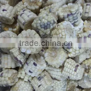 Frozen IQF Whole Sweet Corn and Cob thumbnail-5