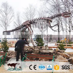 Jrassic Park Realistic Dinosaur Skeleton For Sale thumbnail-5