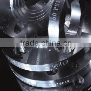 High Quality Titanium Pipe Flange thumbnail-1