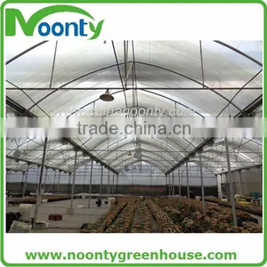 Spanish Style Film Greenhouse thumbnail-1