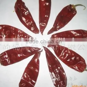 Dried Chilli thumbnail-1