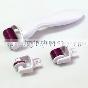 2016 Flagship ! Wholesale Home Use 3 in 1 Micro Derma Roller Kit thumbnail-1