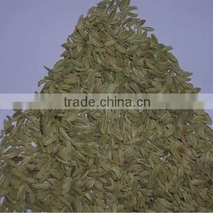 Apex Supplies Quality Foeniculum Vulgare Fennel / Foeniculum Vulgare / Fennel Seeds / Saunf thumbnail-4