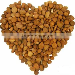HPS Bitter Apricot Kernels / Sweet Almond thumbnail-3