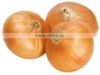 Egyptian Onion thumbnail-3