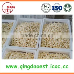 New Crop Garlic in Brine From Factory thumbnail-6