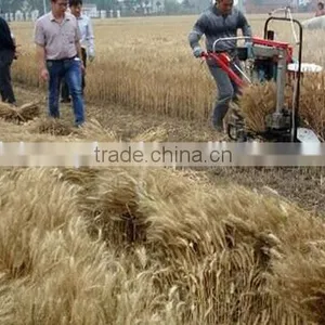 Agriculture Rice Reaper Binder Machine China Supplier thumbnail-3