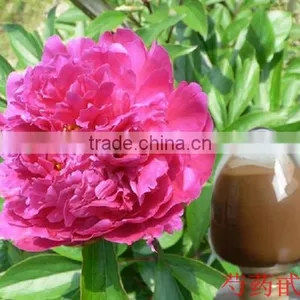 Natural White Peony Extract Paeoniflorin ISO, GMP, HACCP, KOSHER, HALAL Certificated. thumbnail-2