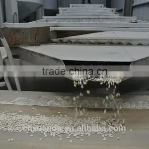 Wholesale Edible White Pumpkin Seed Price thumbnail-5