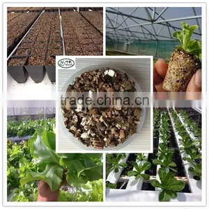Coarse Expanded Vermiculite as Growing Medium for Organic Gardening thumbnail-1