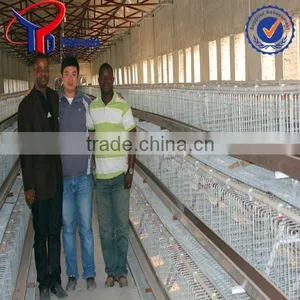 Poultry Abattoir Equipment thumbnail-5