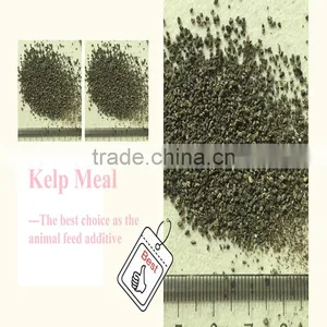 High Quality Dried Seaweed Powde Kelp Meal thumbnail-5