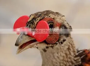 Chicken Glasses/protective Glasses/poultry Glasses thumbnail-1