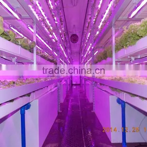 Greenhouse Fabrics thumbnail-1
