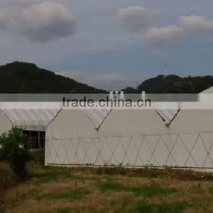 Farm Poultry Greenhouse Equipment for Sale thumbnail-3