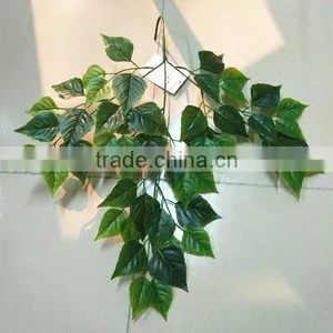 CHY070914 Artificial Big Green Leave/plastic Evergreen Birch Leaf thumbnail-3