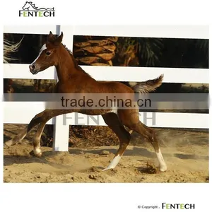 Cheap Field Fence,Cattle Rail Fence thumbnail-3