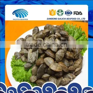 Clam Variety Frozen Half-shell Variegated Clam thumbnail-1